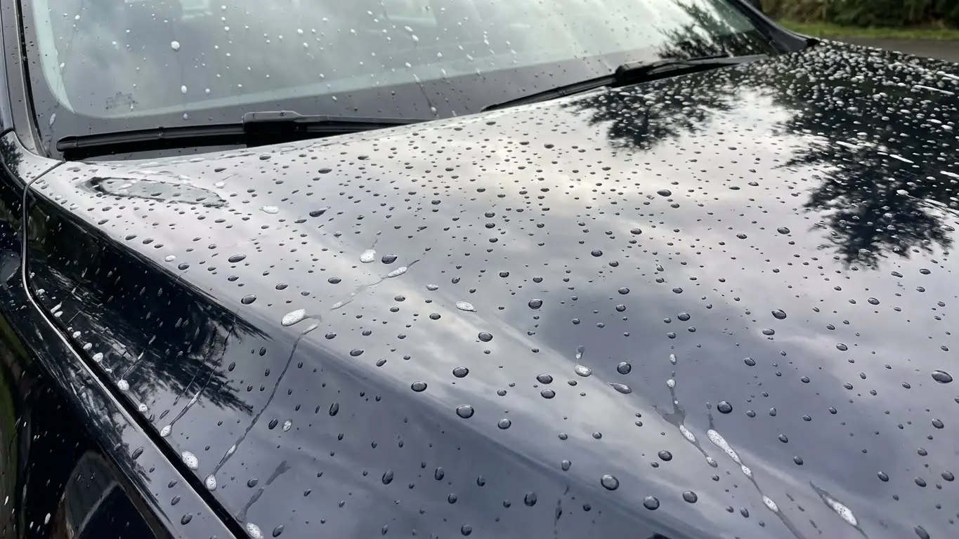 Close-up of water beads on a freshly washed car showing shine and paint protection.